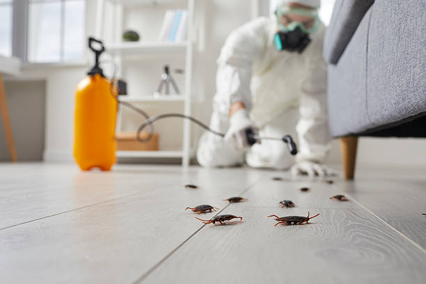 Post-Treatment Bed Bug Interceptor Monitoring in Uniontown